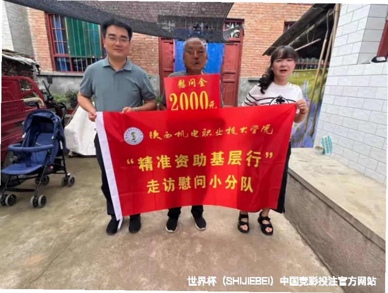 未来愿景与发展方向